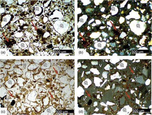 Sand, hearths, lithics and a bit of bioturbation: Site formation processes at Umhlatuzana rockshelter, South Africa