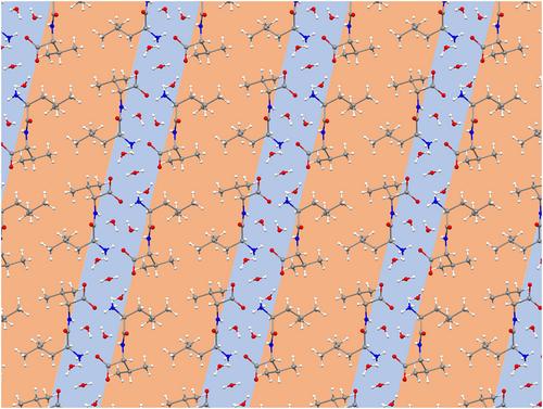 Self-assembly of heterochiral, aliphatic dipeptides with Leu