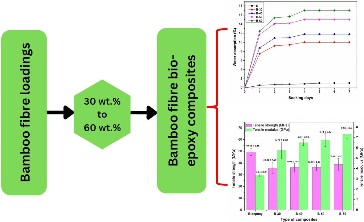 Influence of fibre loading on the density, voids, dimensional resilience, tensile characteristics and thermomechanical behaviour of bamboo fibre and bio-epoxy composites