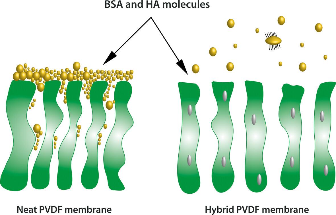 Poly(vinylidene fluoride) ultrafiltration membranes tailored with zirconium-based MOF-801 for water treatment applications