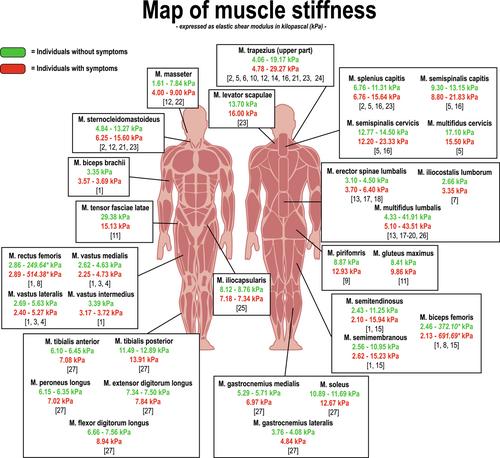 Is musculoskeletal pain associated with increased muscle stiffness? Evidence map and critical appraisal of muscle measurements using shear wave elastography