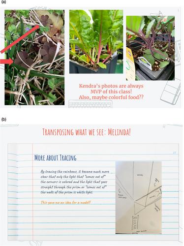 Fostering expansive and connective sensemaking with preservice secondary science teachers