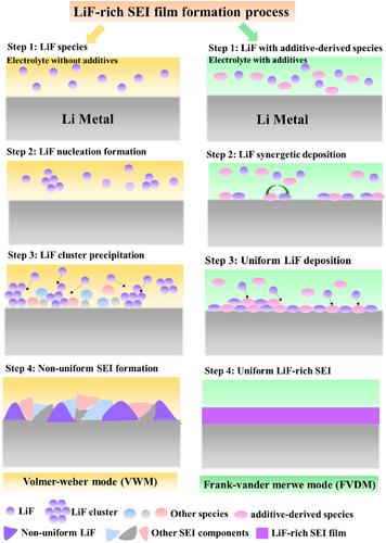 Insight into uniform filming of LiF-rich interphase via synergistic adsorption for high-performance lithium metal anode