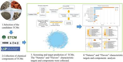 The characterization of traditional Chinese medicine natures and flavors using network pharmacology integrated strategy