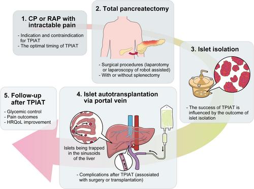 Current status of total pancreatectomy with islet autotransplantation for chronic and recurrent acute pancreatitis