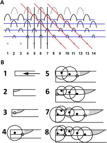 Continuous tooth replacement: what can teleost fish teach us?