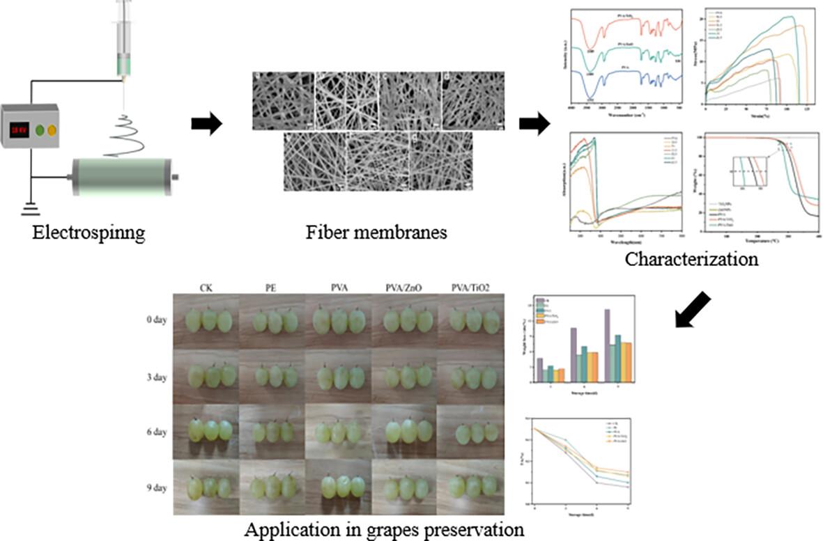 Polyvinyl alcohol-based fiber membranes with high strength and ultraviolet shielding properties for enhancing the shelf life of grapes