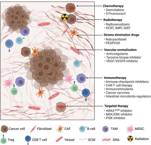 Making incurable pancreatic cancer curable