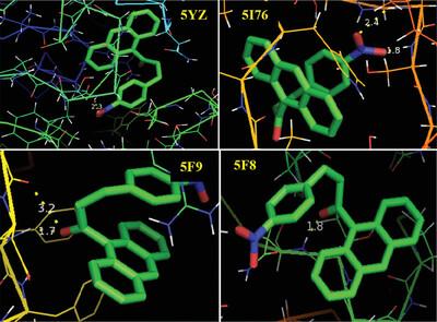 Molecular Docking and DFT Calculations of Anthracene: Insights from Quantum Chemical Methods