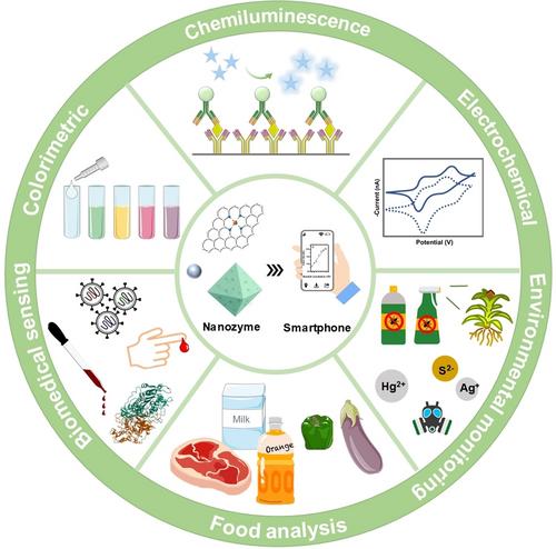 Rational Integration of Nanozyme Probe and Smartphone Device for On-Site Analysis