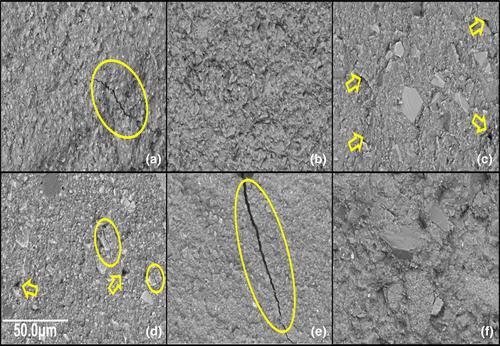 Comparative analysis of self-cure and dual cure-dental composites on their physico-mechanical behaviour