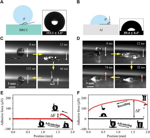 Bioinspired radiative cooling coating with high emittance and robust self-cleaning for sustainably efficient heat dissipation