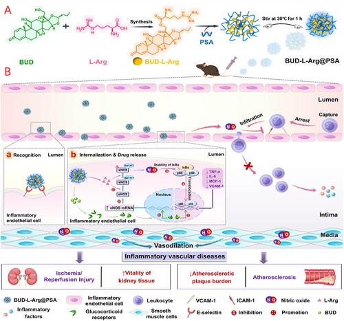 Advances in the treatment of atherosclerosis with ligand-modified nanocarriers