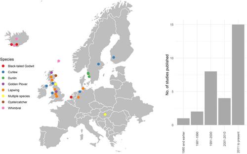 Monitoring wader breeding productivity