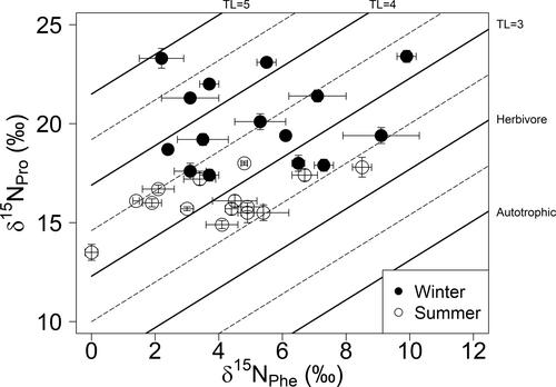 Amino acid-specific nitrogen stable isotope analysis reveals the trophic behavior of Icelandic fin whales in winter and suggests variable feeding strategies