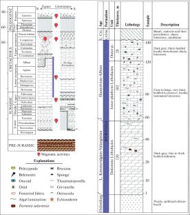 Geochemistry of the Massive Dolomites in Eastern Black Sea Region: REE Implications for Dolomite Petrogenesis