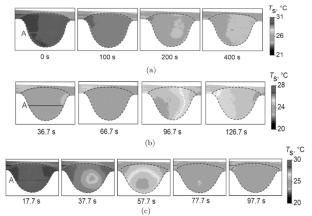 Polymerization in Droplet of Aqueous Solution of PEGDA/Irgacure at Various Concentrations of Components