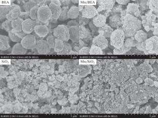 Support Effect on the Characteristics of Supported Manganese Catalysts in the O3-Catalytic Oxidation of Volatile Organic Compounds