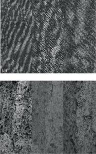 Effect of Annealing on the Microstructure and Hardness of EP648 Alloy after Direct Metal Deposition