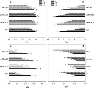 RuBisCO activase alleviates adverse effects of Nilaparvata lugens feeding on photosynthesis in Oryza sativa