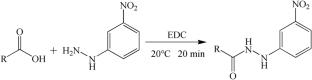 An UHPLC-QE-Orbitrap-MS Method for Accurate Quantification of Short-Chain Fatty Acids in Serum From an Older Chinese Population