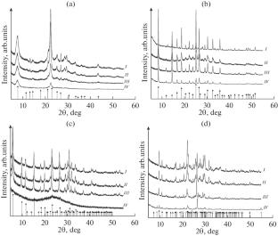 Study of the Stability of Zeolites in Model Biological Environments