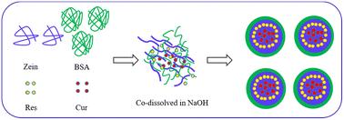 Co-encapsulation of curcumin and resveratrol in zein-bovine serum albumin nanoparticles using a pH-driven method