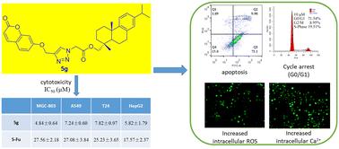 Synthesis and anti-proliferative activity of dehydroabietinol derivatives bearing a triazole moiety†