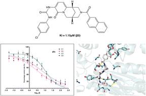 Identification of a new class of proteasome inhibitors based on a naphthyl–azotricyclic-urea–phenyl scaffold†