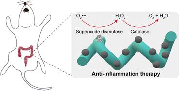 Integrated cascade catalysis of microalgal bioenzyme and inorganic nanozyme for anti-inflammation therapy†