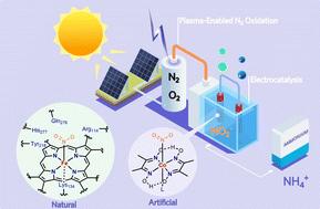 Cobaloximes: selective nitrite reduction catalysts for tandem ammonia synthesis†