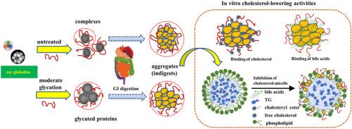 Maximizing cholesterol-lowering benefits of soy protein isolate by glycation with soy soluble polysaccharide