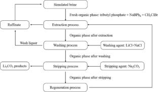 Lithium extraction from salt lake brines with high magnesium/lithium ratio: a review