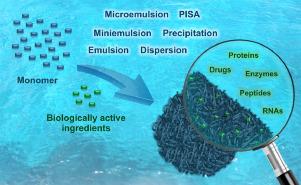 In situ encapsulation of biologically active ingredients into polymer particles by polymerization in dispersed media