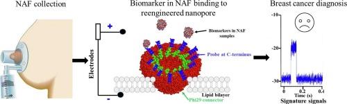 Nipple fluid for breast cancer diagnosis using the nanopore of Phi29 DNA-packaging motor