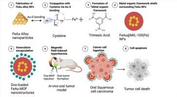 Theranostic doxorubicin encapsulated FeAu alloy@metal-organic framework nanostructures enable magnetic hyperthermia and medical imaging in oral carcinoma