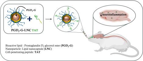 Lipid nanocapsules for the nose-to-brain delivery of the anti-inflammatory bioactive lipid PGD2-G