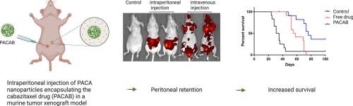 Intraperitoneal administration of cabazitaxel-loaded nanoparticles in peritoneal metastasis models