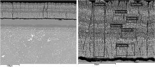 Composite Ceramics for Thermal-Barrier Coatings Produced from Zirconia Doped with Rare Earth Oxides