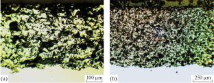 Structure and Tribological Properties of a Ti–TiN Coating Obtained by Hypersonic Metallization