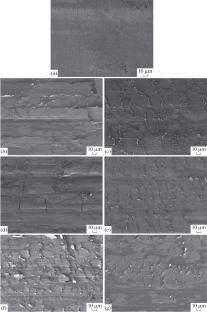 The Influence of Mechanically Activated Kaolinite and Magnesium Spinel on Tribological Properties and Structure of PTFE Friction Surfaces