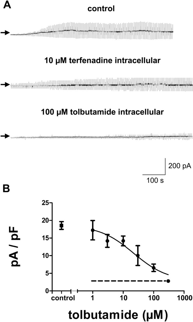 Intracellular Binding of Terfenadine Competes with Its Access to Pancreatic ß-cell ATP-Sensitive K<sup>+</sup> Channels and Human ether-à-go-go-Related Gene Channels.