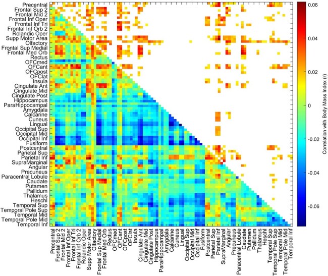 Orbitofrontal cortex connectivity is associated with food reward and body weight in humans.