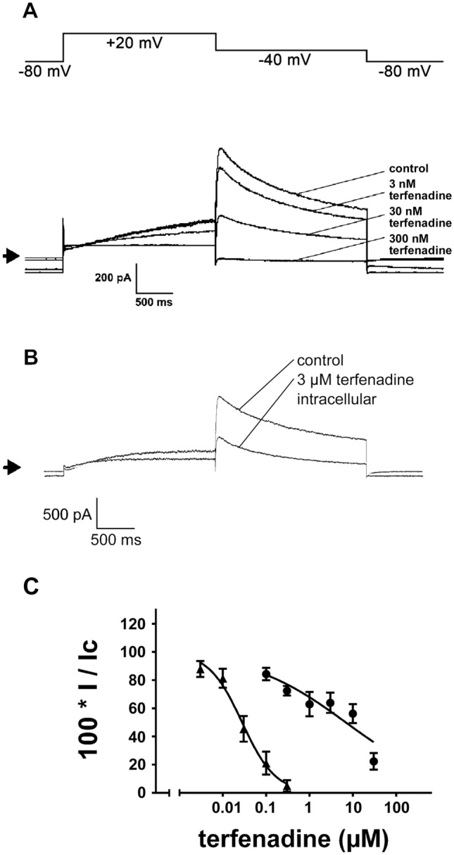 Intracellular Binding of Terfenadine Competes with Its Access to Pancreatic ß-cell ATP-Sensitive K<sup>+</sup> Channels and Human ether-à-go-go-Related Gene Channels.