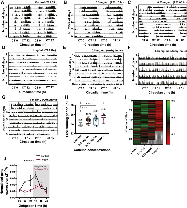 The duration of caffeine treatment plays an essential role in its effect on sleep and circadian rhythm.