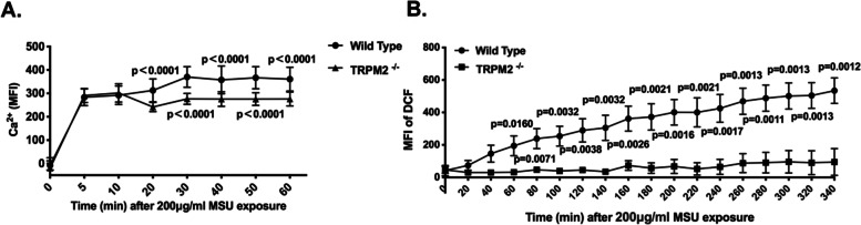 Transient receptor potential melastatin 2 regulates neutrophil extracellular traps formation and delays resolution of neutrophil-driven sterile inflammation.