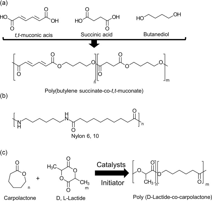 Repurposing of waste PET by microbial biotransformation to functionalized materials for additive manufacturing.