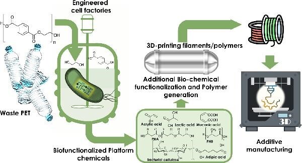 Repurposing of waste PET by microbial biotransformation to functionalized materials for additive manufacturing.