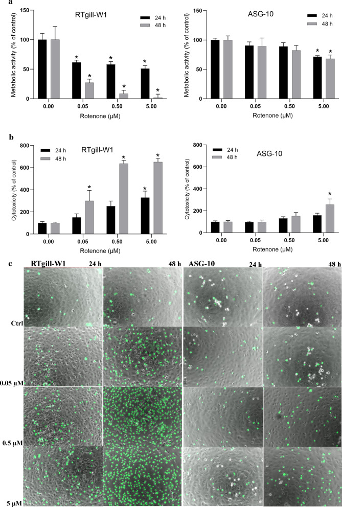 The gill epithelial cell lines RTgill-W1, from Rainbow trout and ASG-10, from Atlantic salmon, exert different toxicity profiles towards rotenone.