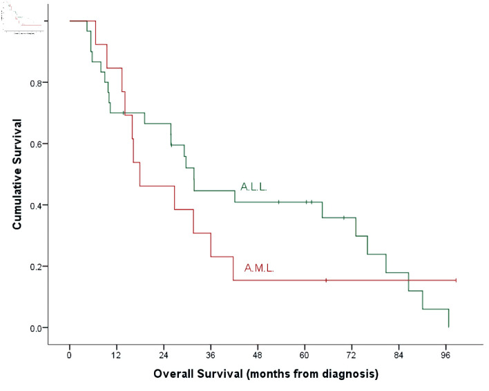 Clofarabine in Pediatric Acute Relapsed or Refractory Leukemia: Where Do We Stand on the Bridge to Hematopoietic Stem Cell Transplantation?